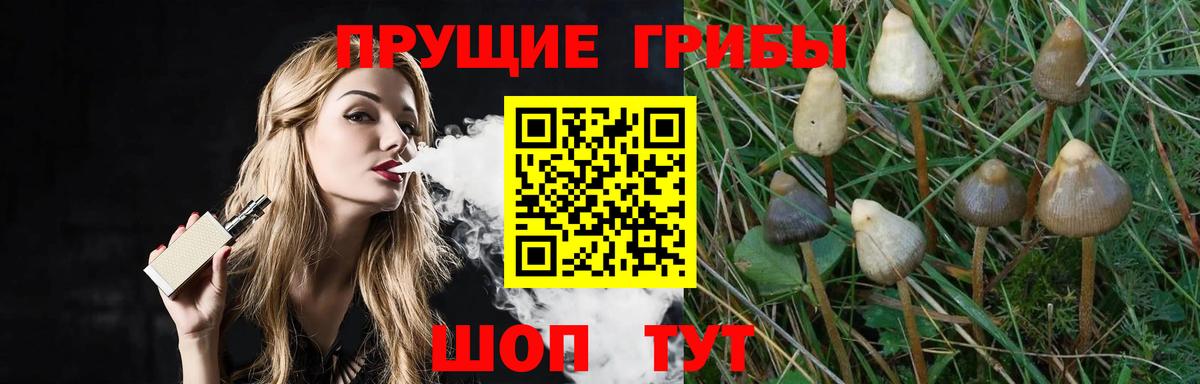 Псилоцибиновые грибы прущие грибы  Галлюциногенные грибы мухоморы  Вход с VPN  Избербаш 